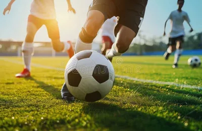 德甲竞猜 - 金年会体育